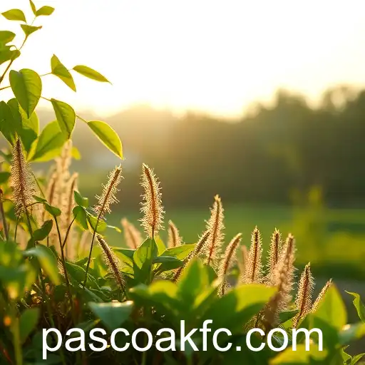 A Revolução dos Sites de Jogos com Pascoakf